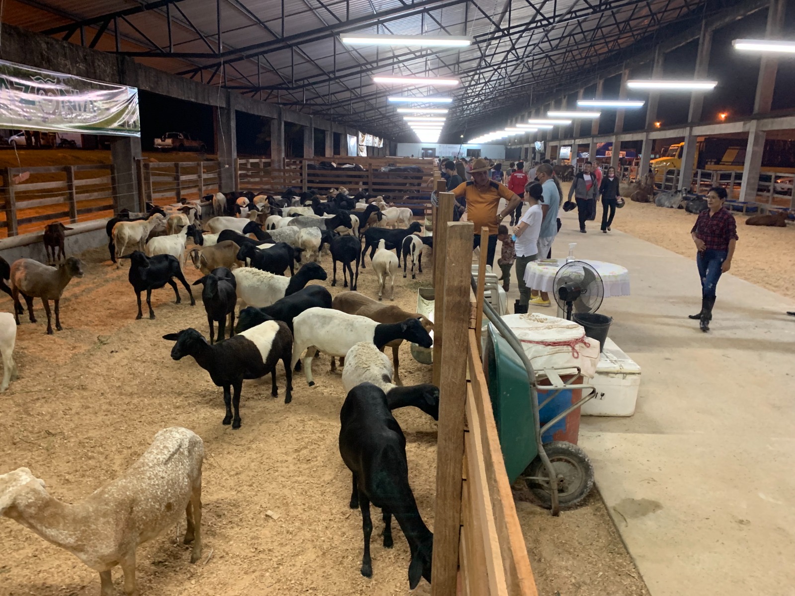 Agronegócios: maior evento do setor primário do AM confirmado para agosto